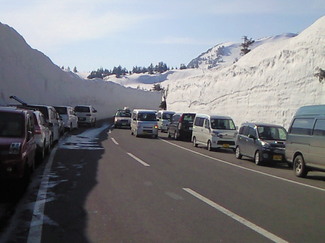 睡蓮沼付近の雪の回廊