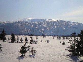 201204141520000.jpg